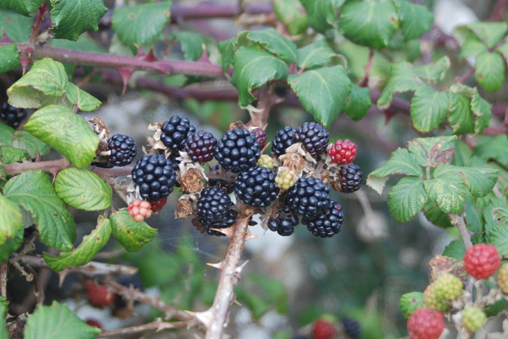The Lough Mask Villa