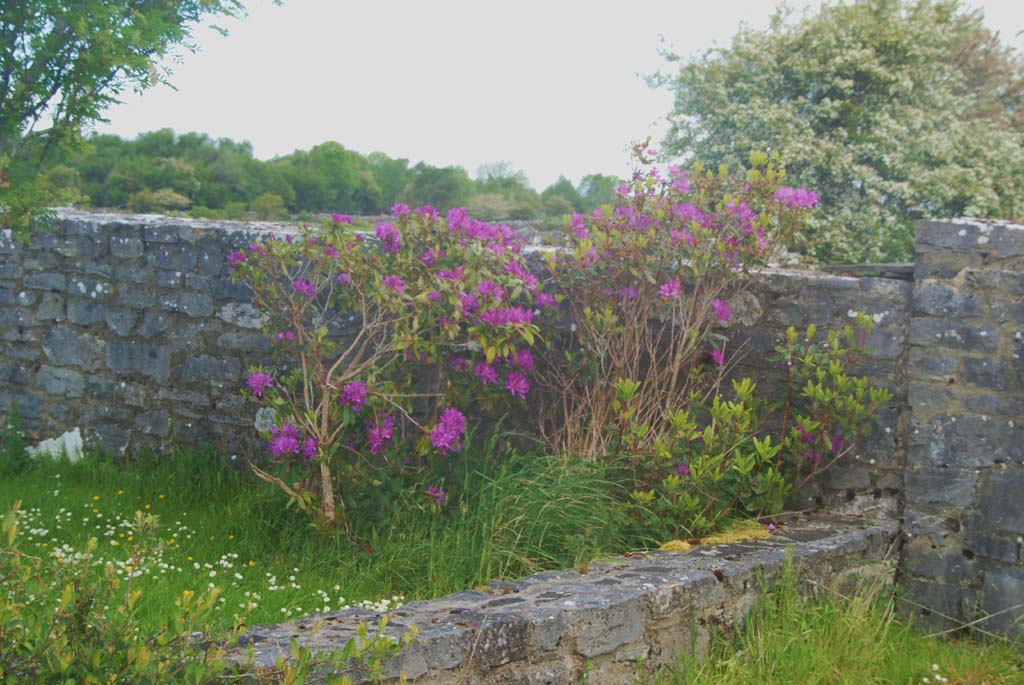 The Lough Mask Villa