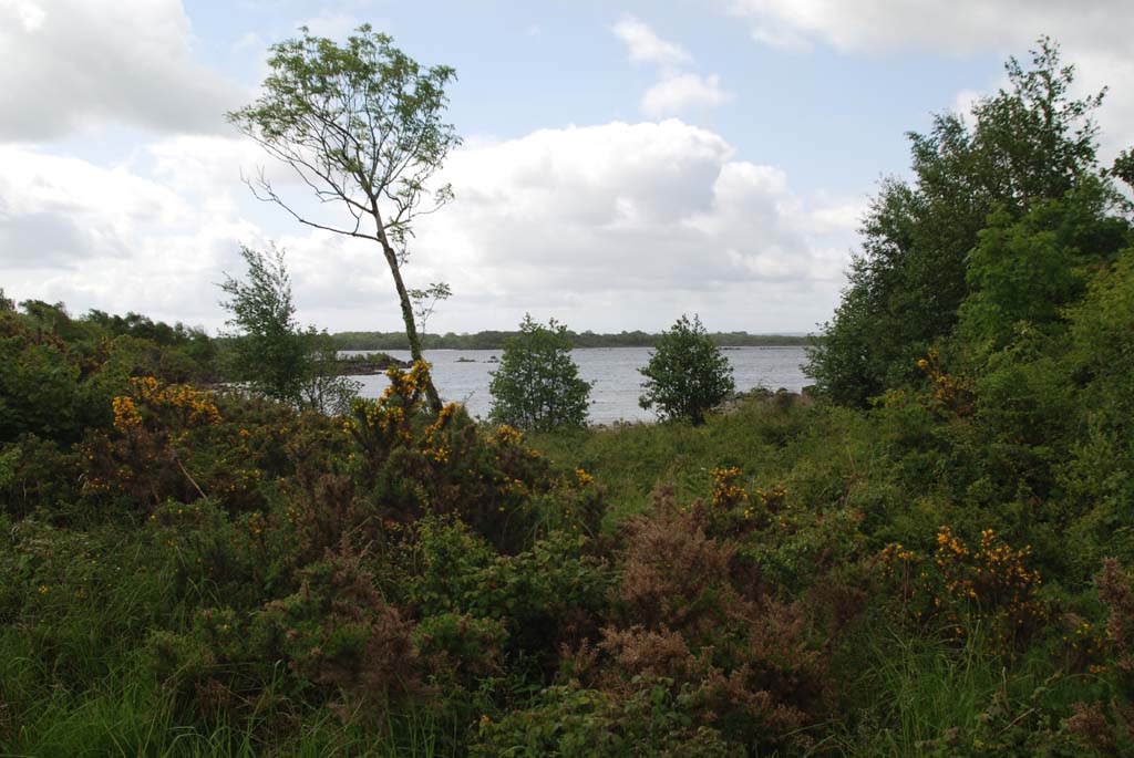 The Lough Mask Villa