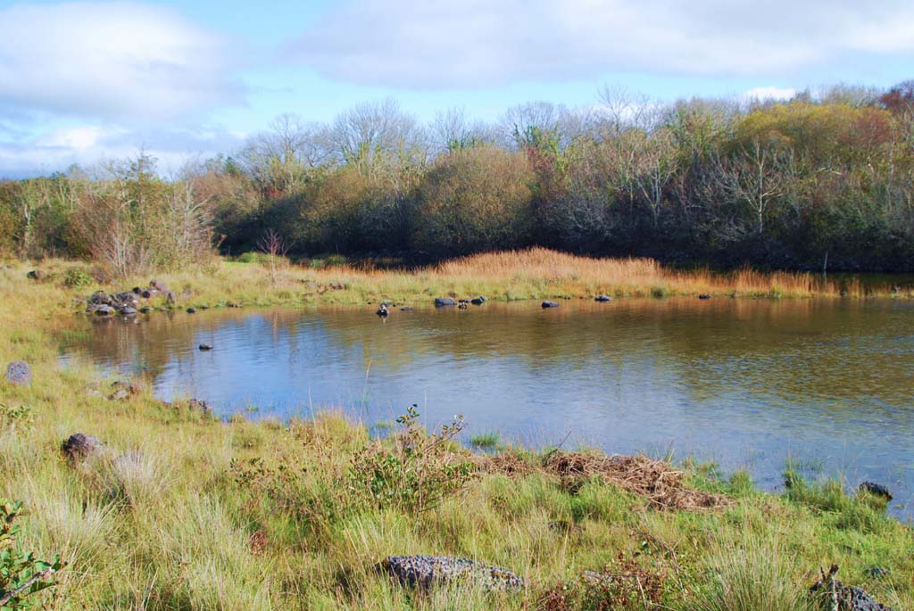 The Lough Mask Villa